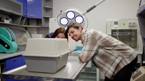 Couple Checking on Pet Inside Carrier at Veterinary Clinic
