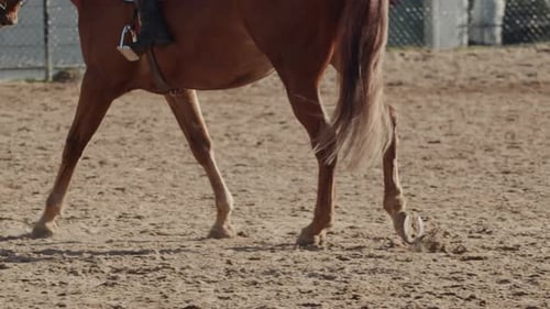 Reittraining für junge Reiterinnen, Nahaufnahme, Kanada, Halifax