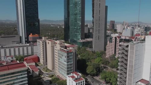 Modern High Rise Skyscrapers Overlooking Lush Green Urban City Park