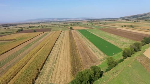 Aerial Countryside View of Agriculture Fields, Farmland, Rural Scenery by Drone