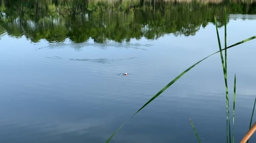 Lake Reflection with Fishing Bobber