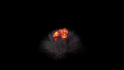 Bomb Explosion - I - Ground View - Fire and Smoke Blast - Alpha Channel