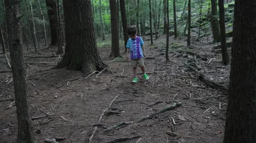 Little boy exploring the woods
