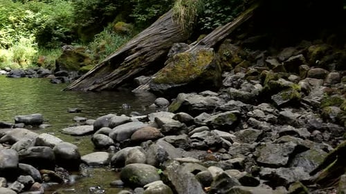 Waterfall Pours Into Small Pond