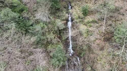 Wald-Wasserfall-Drohne
