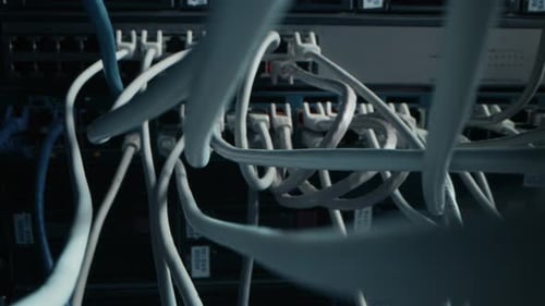 Close-up Macro Shot: Ethernet Cables Connected to Router Ports. Telecommunications: RJ45 Device Con