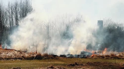Flames and smoke rise from dry grass during a controlled burn in a field, used for land management a