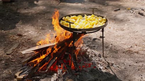 Potatoes are Cooked on Open Fire Picnic Concept