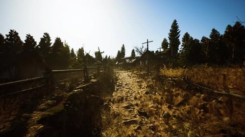 Journey Along a Winding Forest Path in Rural Landscape