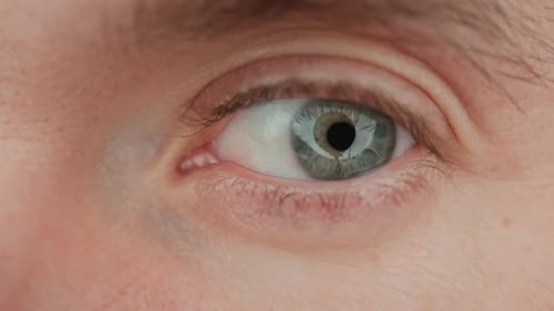 Closeup of Male Blue Eye with Pupil and Iris Details