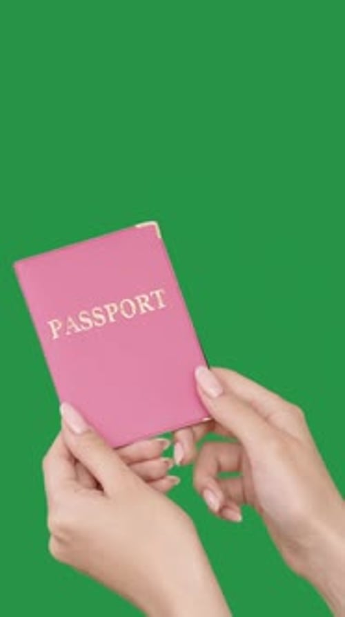 Pink Passport on Green Screen Background