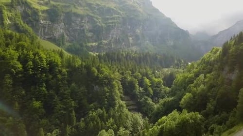 calm flight over green forest in the mountain. beautiful morning light from the sun