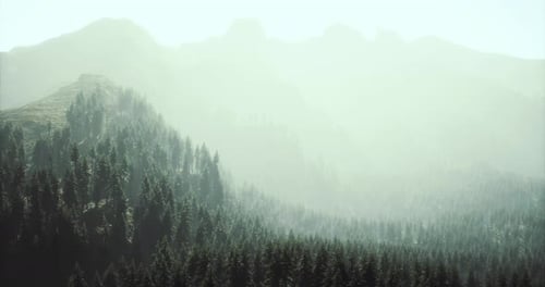Misty Forest Landscape with Mountains in the Background During Early Morning