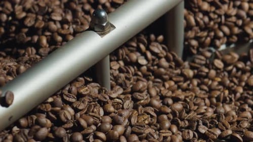 Roasting Coffee Beans Stirring in Industrial Machine