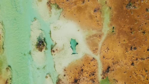 Top view of natural sinkhole and vegetation in Bacalar wetland landscape Mexico