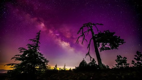 Pink Milky Way sky and silhouette of trees, time lapse view