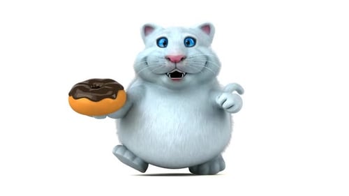 Fun cat - 3D Animation