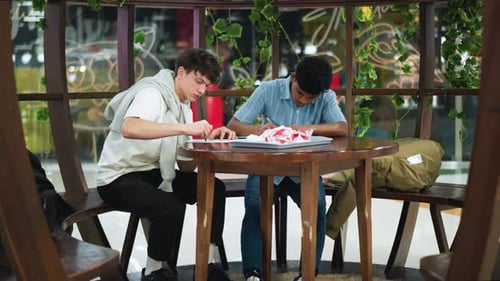 Transparent Glass Owl Sketch Revealing Ethereal Wall Reflection