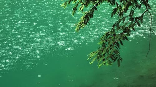 Raindrops Create Rippling Patterns on a Tranquil Pond