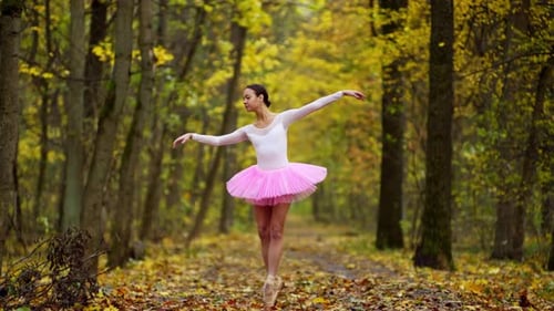 A Delicate Graceful Ballerina Dances in the Autumn Forest
