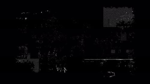 Digital Glitch Noise Error Overlay