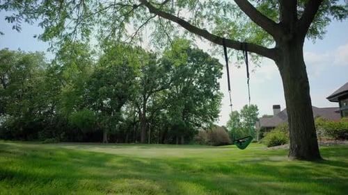 Wooden Tree Swing in a Backyard Wide View