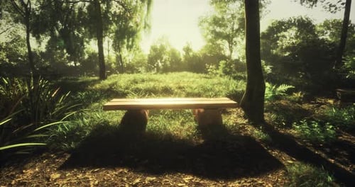 Sunlit Wooden Bench in a Serene Forest Clearing During Golden Hour
