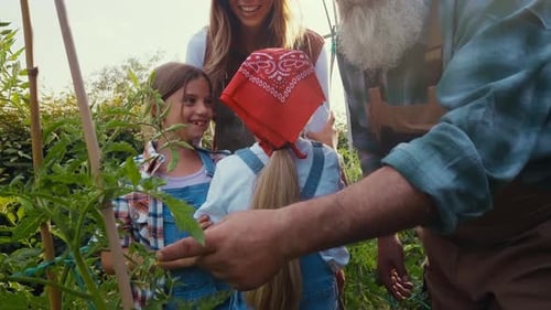 Family in Garden Inspecting Plants on Sunny Day