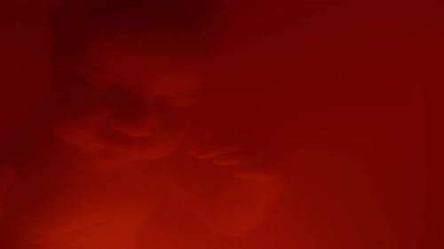 Abstract Red Patterns and Textures