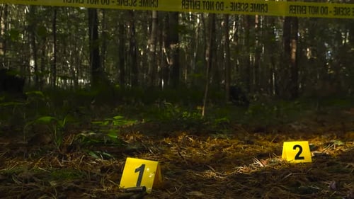 Police crime markers next to bullets on a forest ground and yellow crime scene tape hanging above it