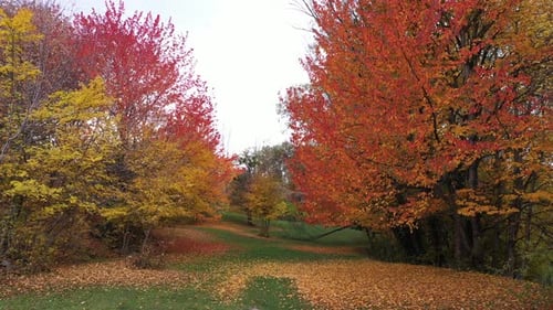 Autumn