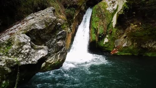 A Beautiful Waterfall in a Green Forest