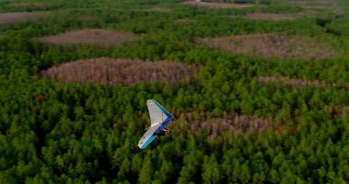 Hang Glider Above Forest, Aerial Drone Aerial