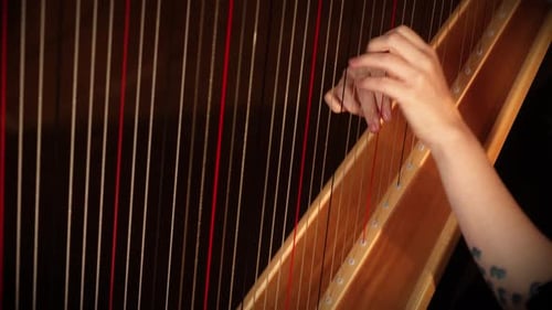 Close Up of a Harp Being Played