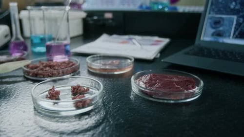 Lab-grown Meat Samples in Petri Dishes