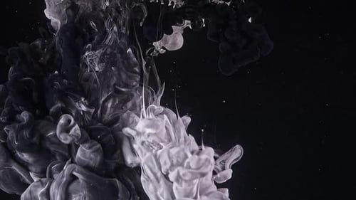 Swirling White and Black Ink in Water
