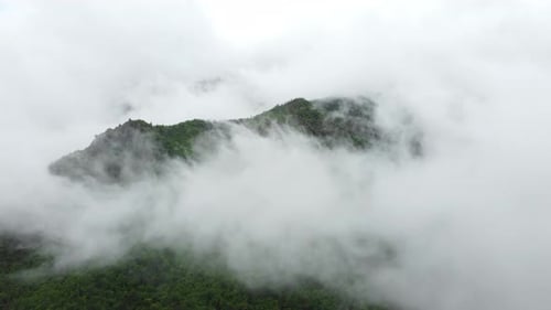 Beautiful Clouds in Mountain Forest Misty Fog Blowing Over Trees Aerial Top View Landscape Morning