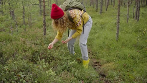 Stylish Young Woman Picking Blueberries in the Forest in Nature