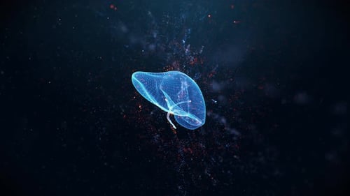 3D-Hologramm der menschlichen Leber, umgeben von Energieströmen in einem futuristischen Stil HUD Anatomy Infografik