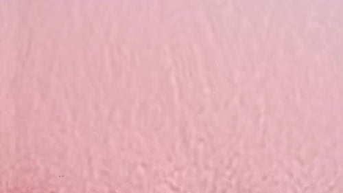Abstract Transparent Water Ripple With Pink Background
