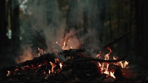 Ember Wood Fire Transition Uhd