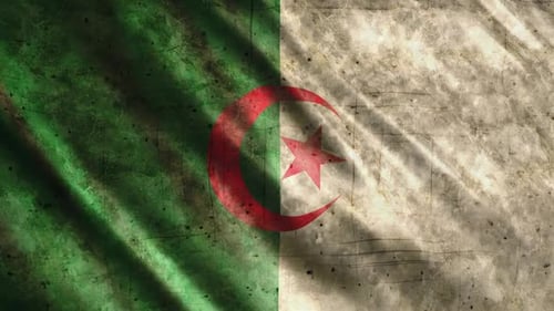 Grungy Algerian Flag Waving Loop