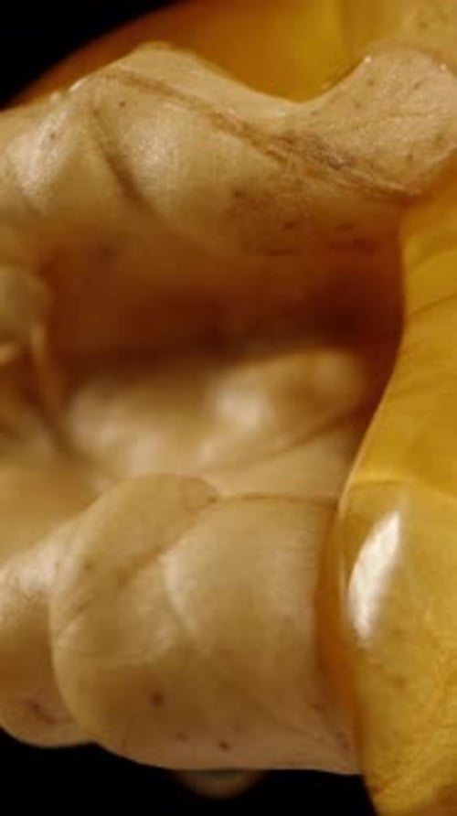 Vertical. slowly zooms out from the walnut while honey is flowing over it and dripping down, macro