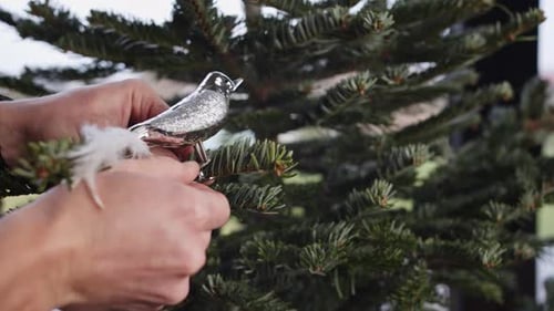 Hanging Fancy Silver Bird With White Tail Decoration on Green Christmas Tree