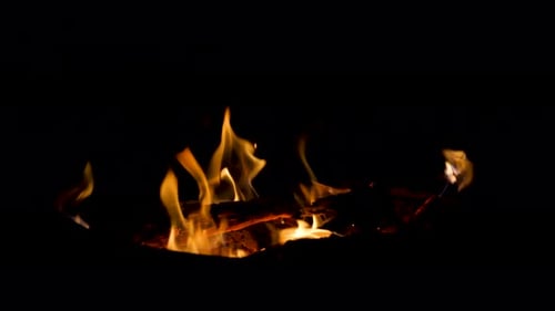 Small Glowing Fire in Camping Firepit - Burning Logs