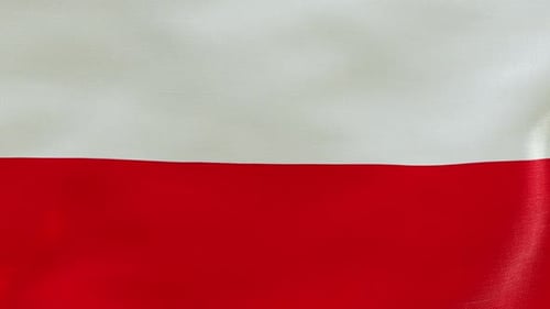 Realistic Polish Flag Waving Seamless Loop Animation