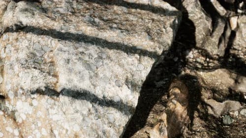 Close Up of Rocky Stones Formation