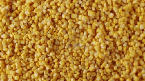 Top View of a Surface Filled with Many Ripe Corn Kernels