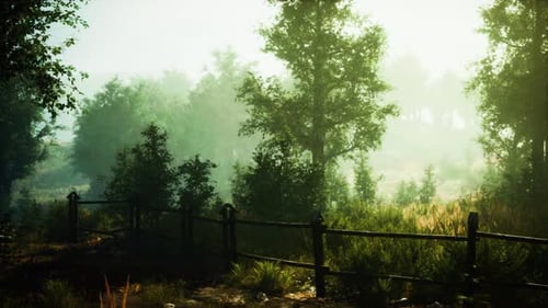 A Fence Standing in the Heart of a Tranquil Forest