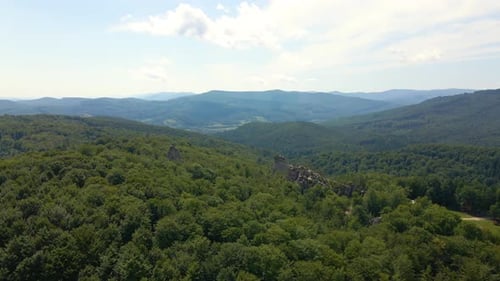 Aerial View of Dense Green Forest on Mountain Hills